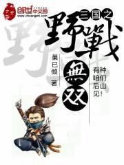 三国之野战无双