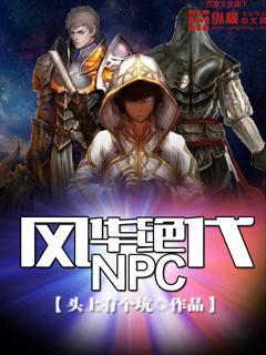 风华绝代NPC